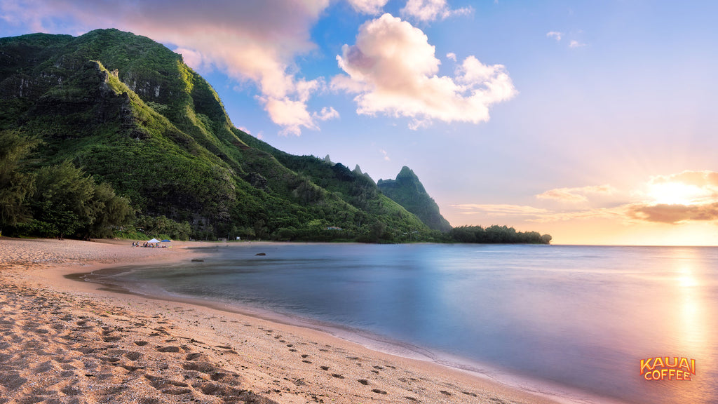 Celebrate Hawaii Statehood Day with Kauai Coffee