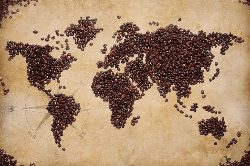 Where Did Coffee Come From? (and how did it end up in Hawaii?)