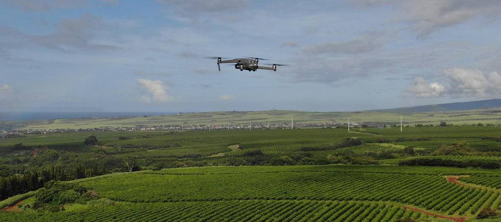 , , drone image of the kauai coffee farm, , drone flying above kauai coffee farm, drone image of compost volume estimate,