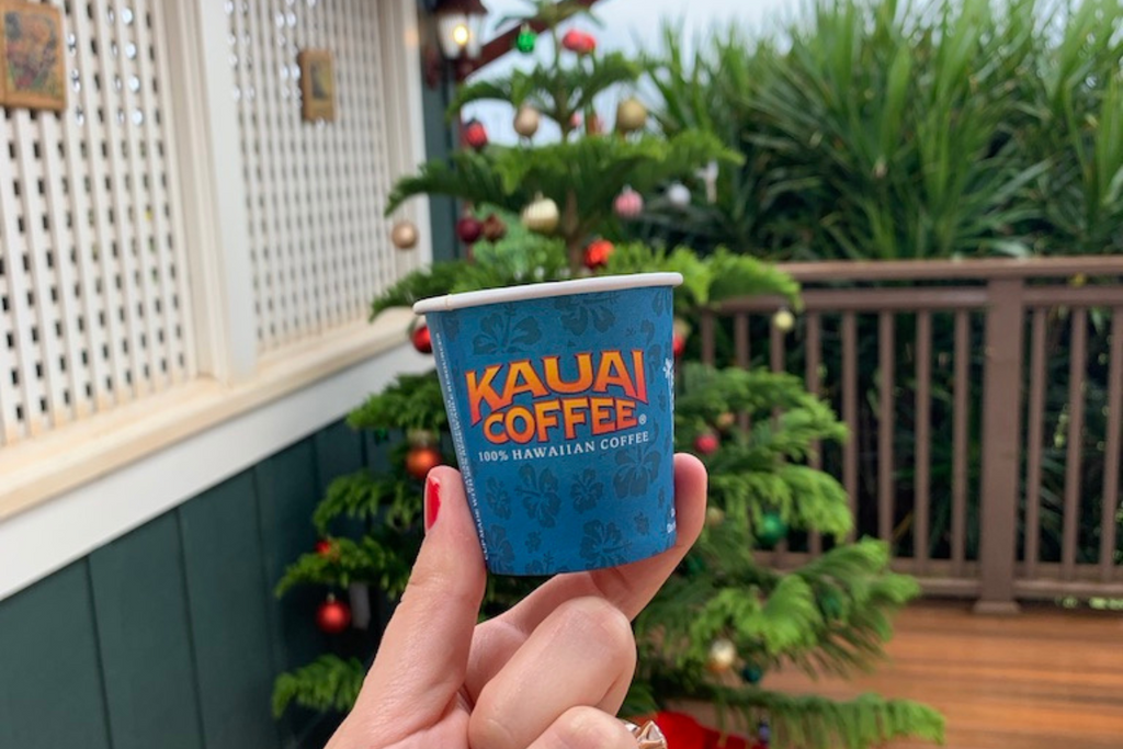 Why the Holiday Season Is the Best Time to Visit Kauai