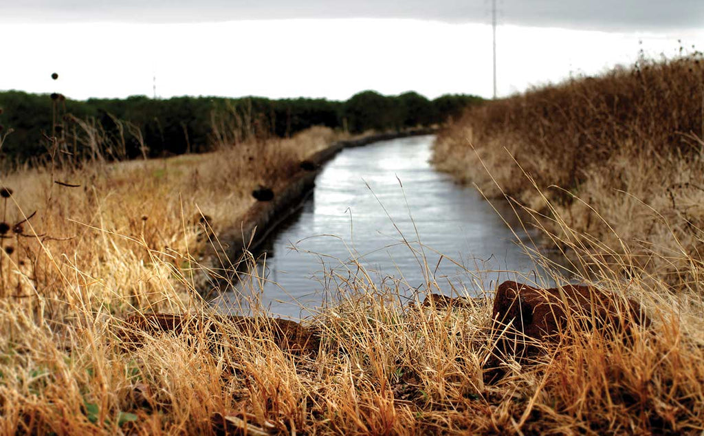 saving water with irrigation channel on the Kauai Coffee Farm, ,