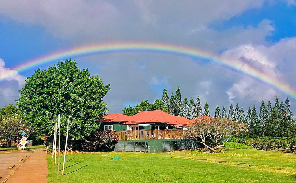 rainbow over the kauai coffee visitor center, Kauai coffee orchard staff poses on the farm. He is wearing a white shirt and holding a rake. Coffee trees are visible in the background. The sunshine is soft and golden