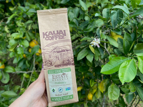 What Is Coffee Acidity?